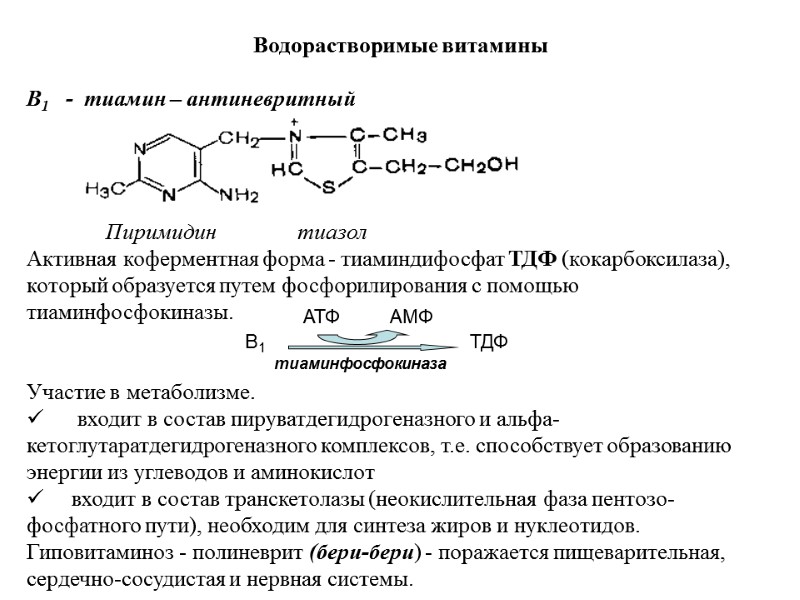 Водорастворимые витамины В1 - тиамин – антиневритный Водорастворимые витамины В1 - тиамин – антиневритный